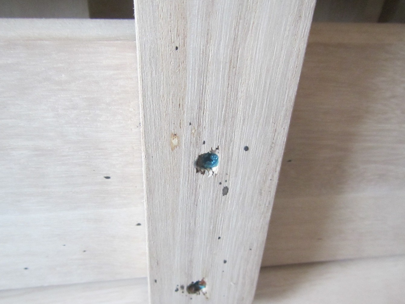 トコジラミのふん