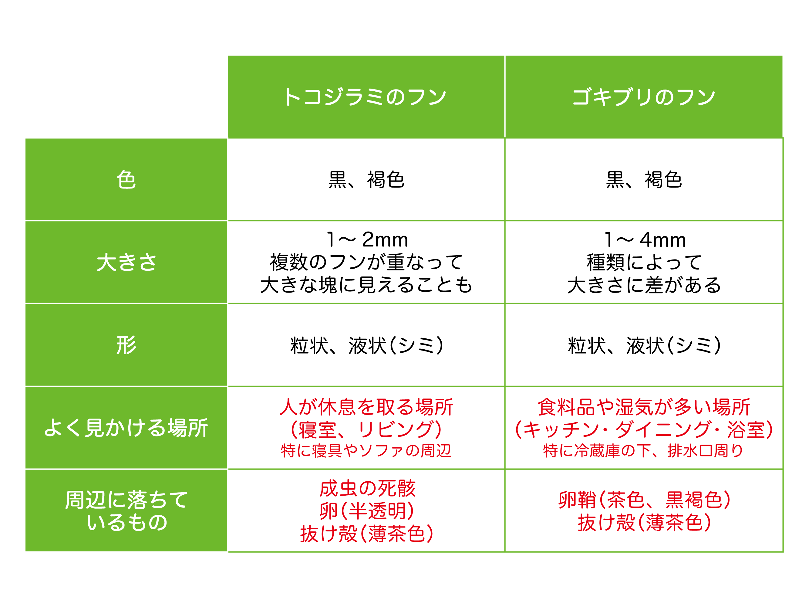 トコジラミのふん