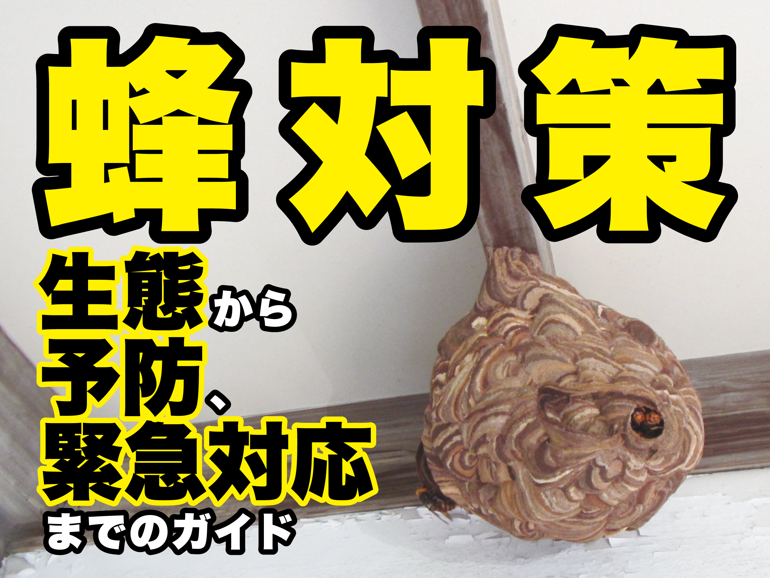 蜂対策:生態から予防、緊急対応までのガイド