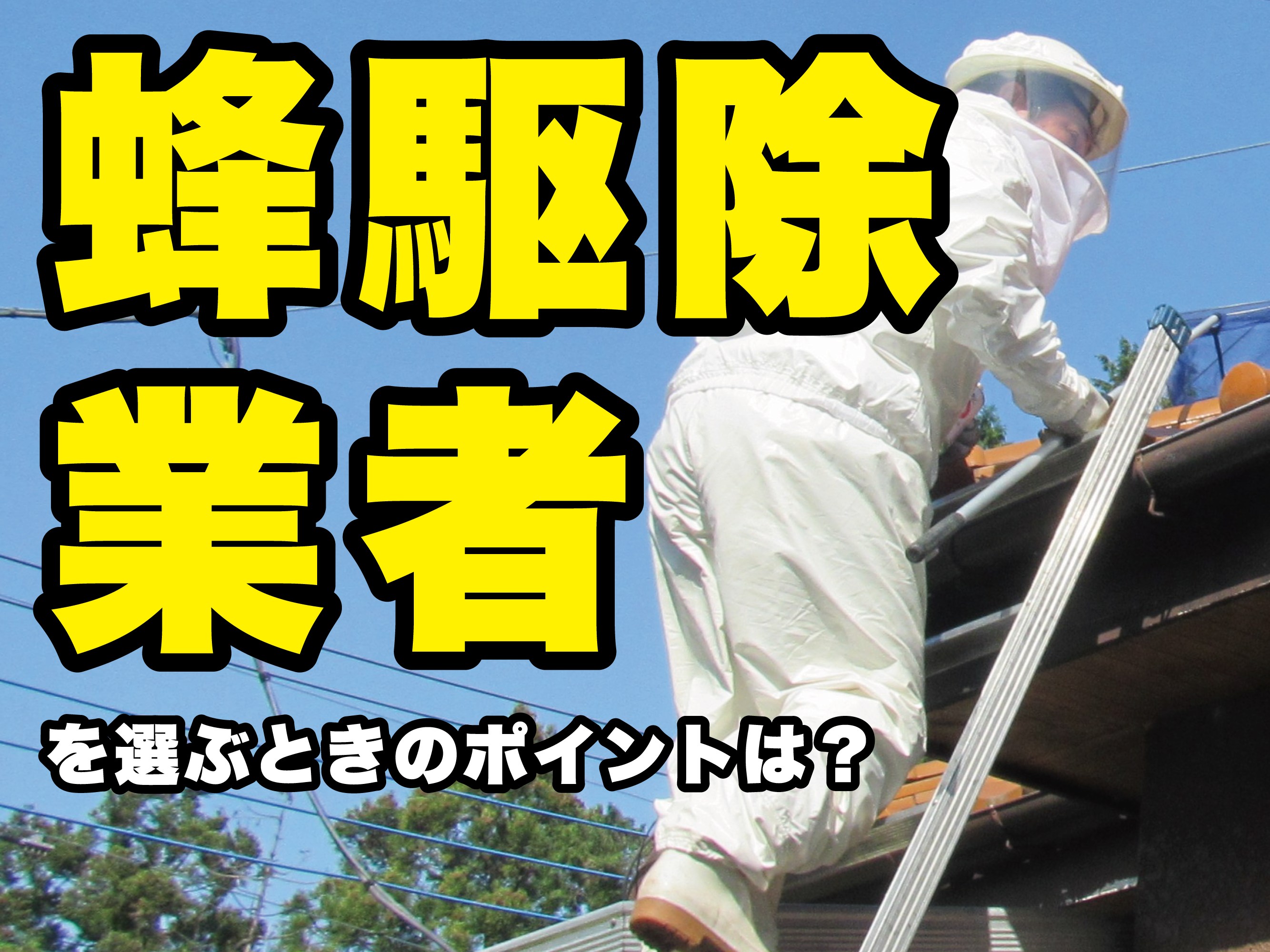 蜂駆除業者を選ぶときのポイントは?