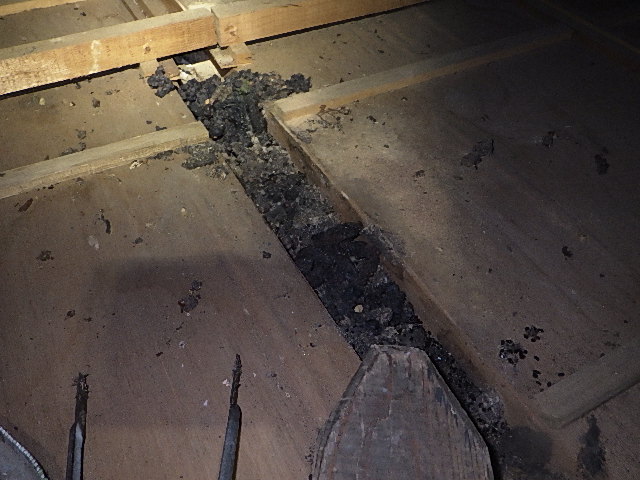ハクビシンによる天井損傷、フン害の写真