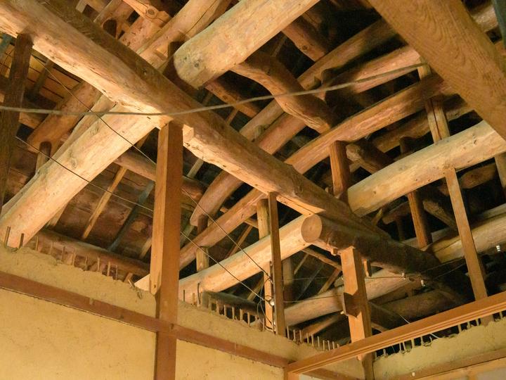 アライグマが屋根裏に潜む理由や侵入する方法は？どう対処すべき？詳しく解説します！