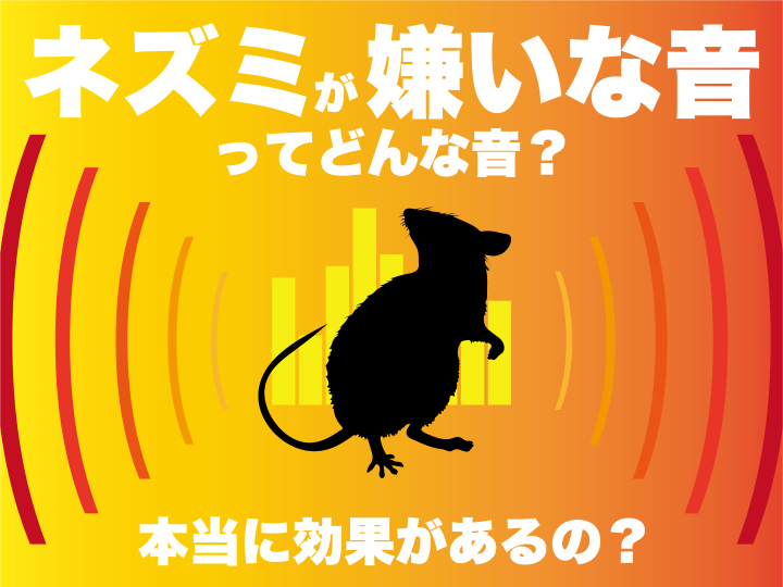 ネズミが嫌いな音ってどんな音?本当に効果があるの?