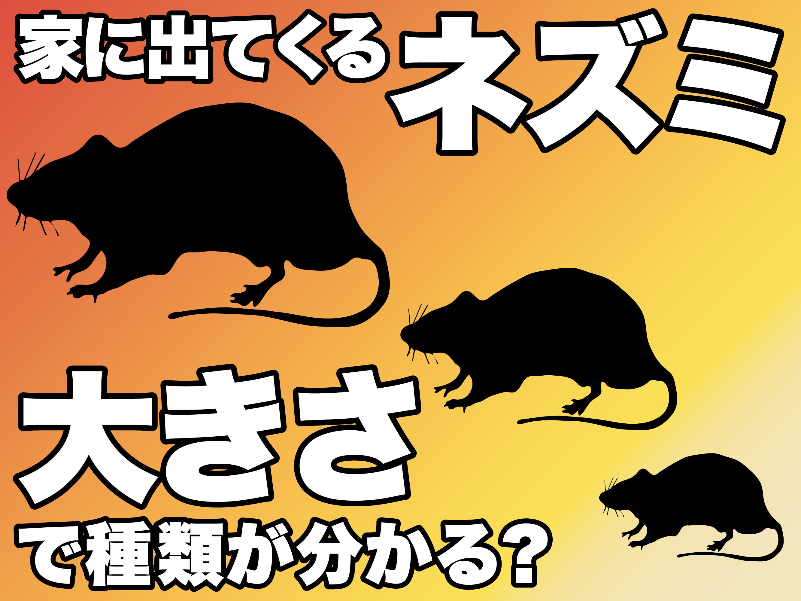 家に出てくるネズミ大きさで種類が分かる？