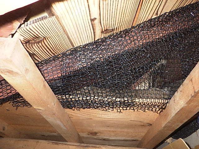 プロによるネズミ駆除の方法