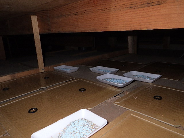 即効性のある捕獲方法で確実に仕留める