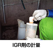 IGR剤の計量