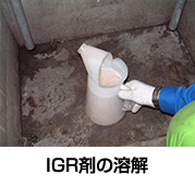 IGR剤の溶解