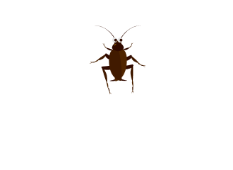ゴキブリ