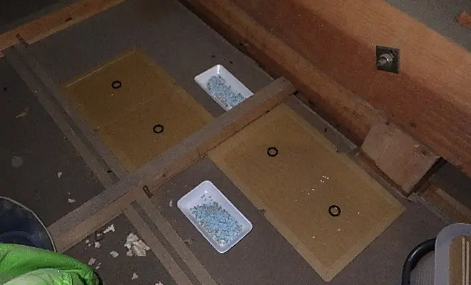 ネズミ用トラップの設置